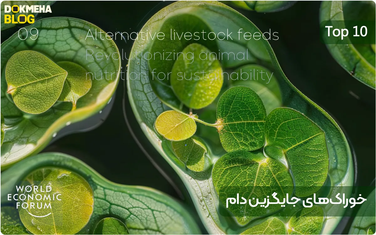 Top 10 Emerging Technologies of 2024 (Alternative Livestock Feeds) - DOKMEHA - 1200 ۱۰ فناوری نوظهور برتر سال ۲۰۲۴ (Top 10 Emerging Technologies of 2024) خوراکهای جایگزین دام (Alternative Livestock Feeds)