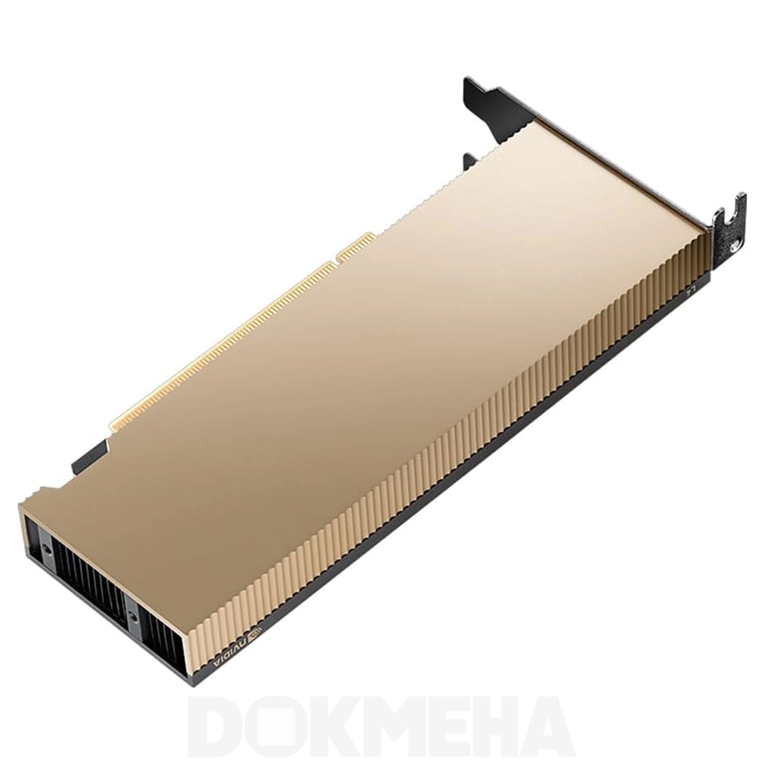 کارت گرافیگ هوش مصنوعی NVIDIA L4 Tensor Core PCIe GPU Accelerator نمای بالا و پشت