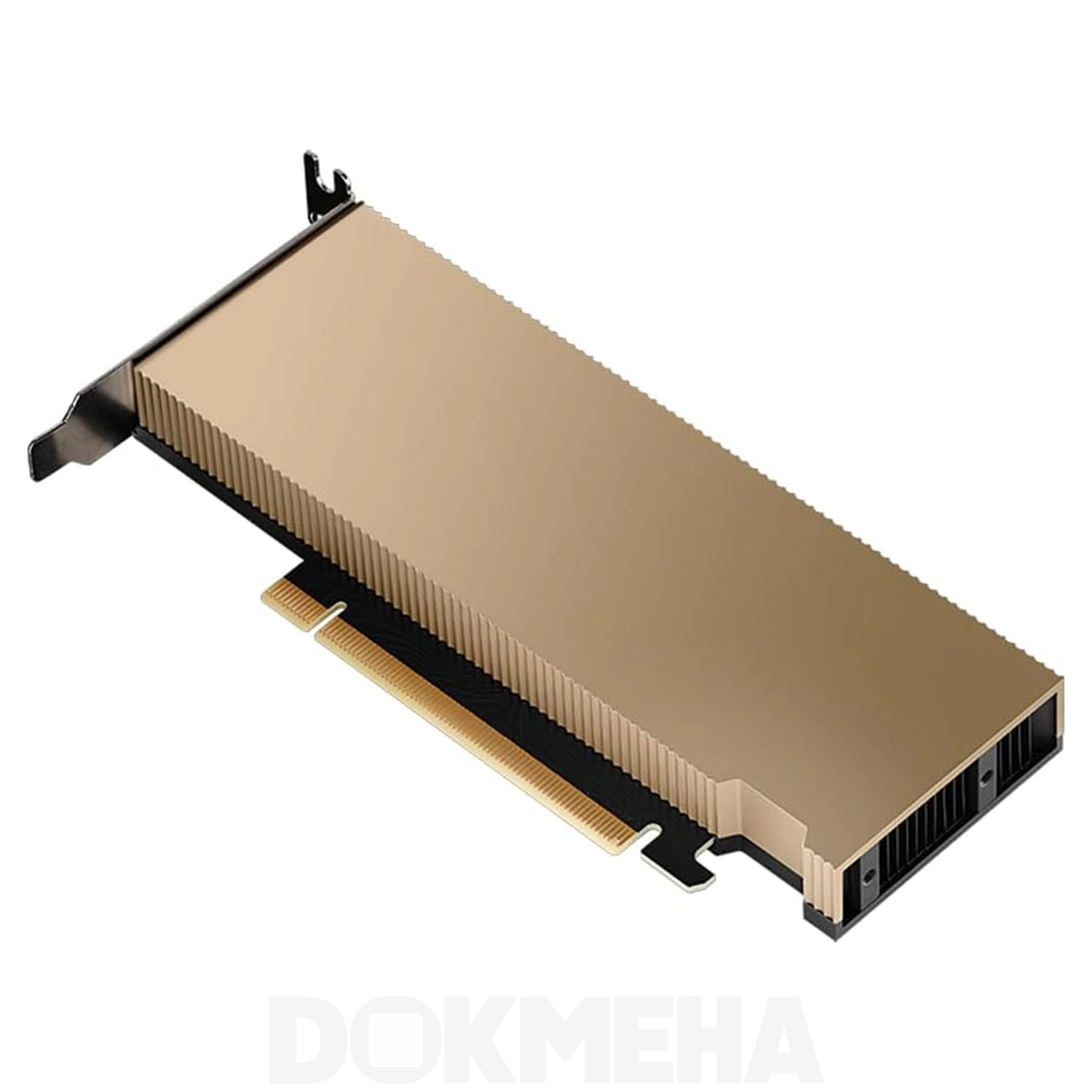 کارت گرافیگ هوش مصنوعی NVIDIA L4 Tensor Core PCIe GPU Accelerator نمای بالا و پشت