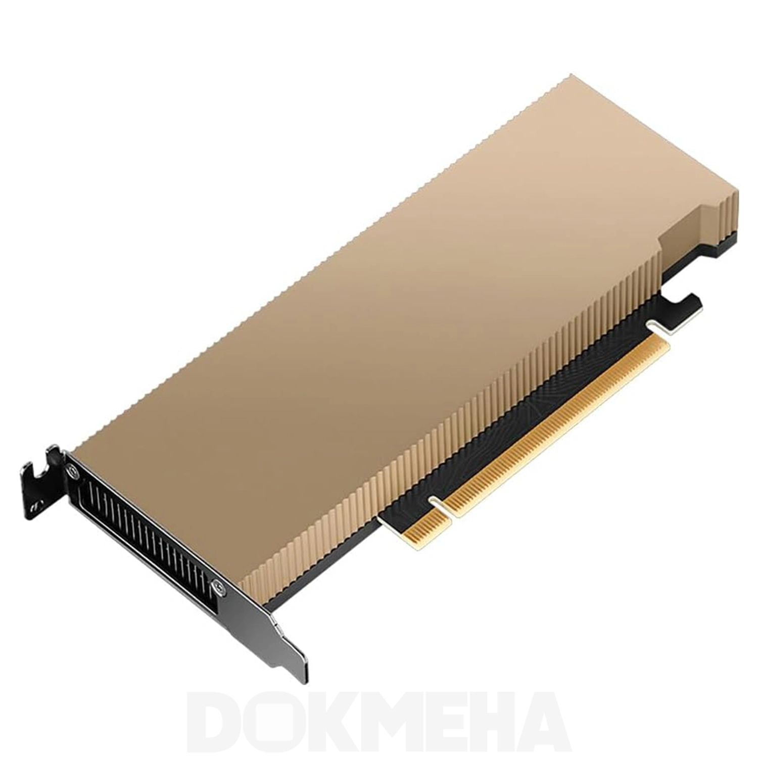 کارت گرافیگ هوش مصنوعی NVIDIA L4 Tensor Core PCIe GPU Accelerator نمای بالا و جلو
